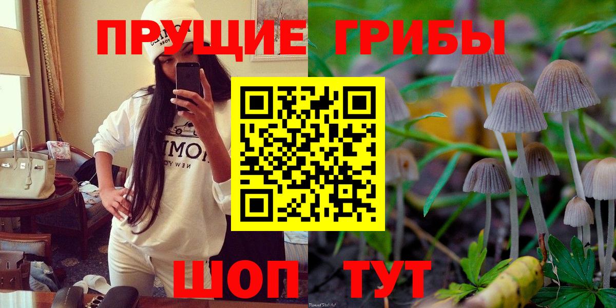Нижний Тагил  Галлюциногенные грибы Cubensis  Псилоцибиновые грибы MAGIC MUSHROOMS  Вход с VPN 